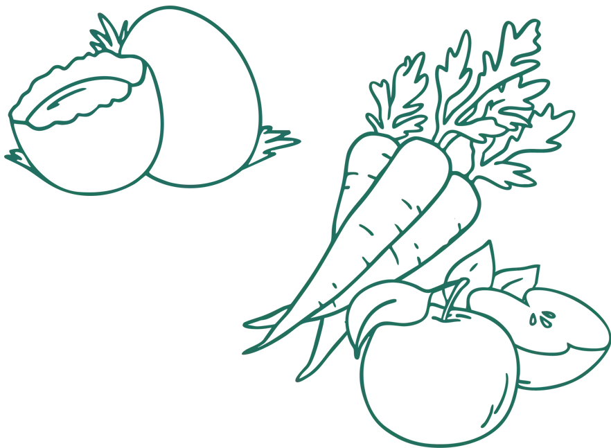 Obst und Gemüse Illustration